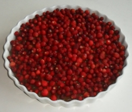 Chokolademoussekage